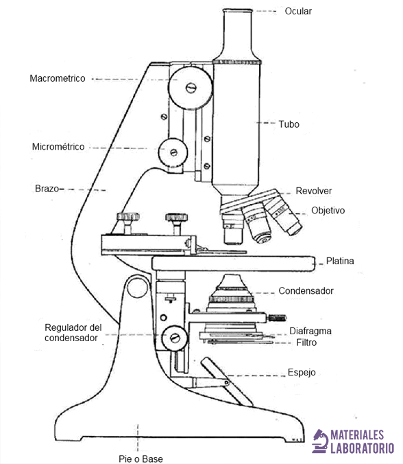 Microscopio